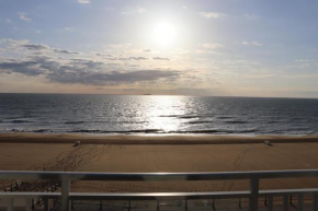 Oceanfront best beach, boardwalk, dolphins!